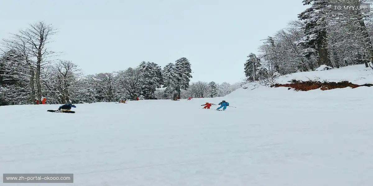 ⚽ 赛场硝烟弥漫，下一秒就将载入史册，史诗对决不容错过！📖